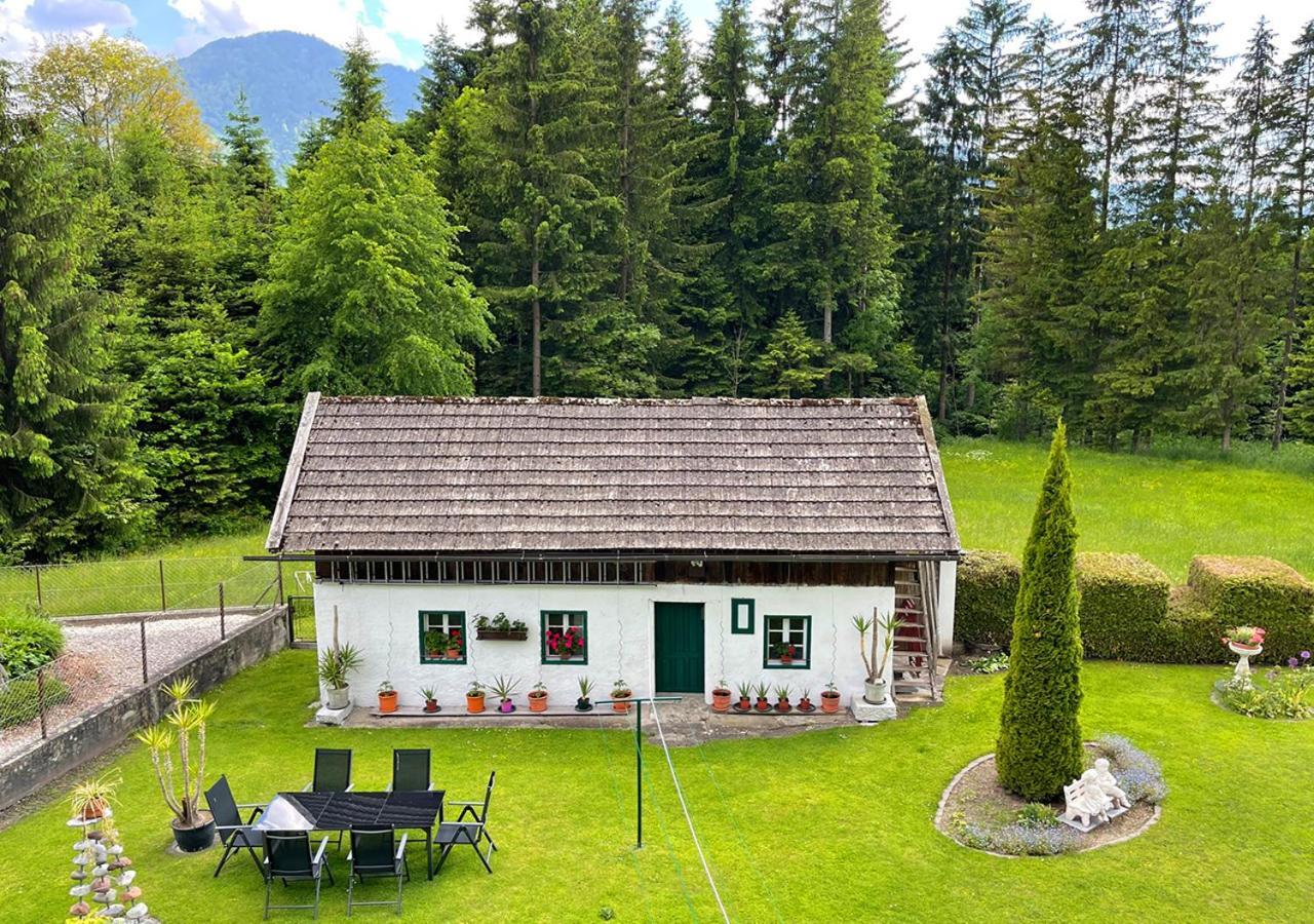 Apartments Fiore Am Naturschwimmbad! Puch  Exterior foto